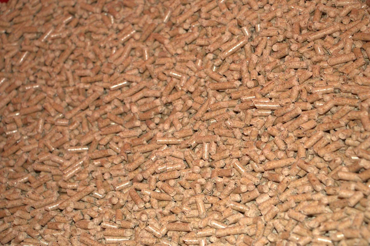 Best Wood Pellets for Pizza Ovens