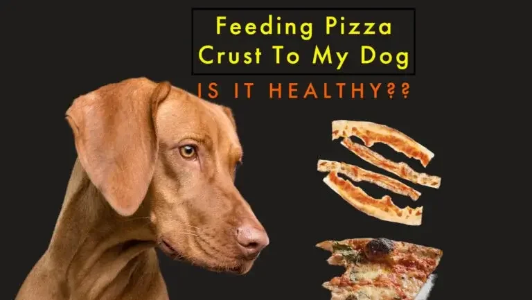 Can dog eat pizza crust