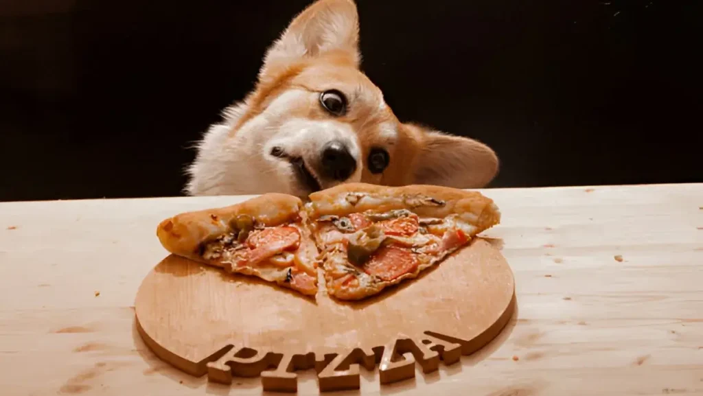Is Pizza Bad for Dogs