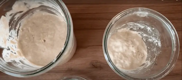 Poolish and Sourdough